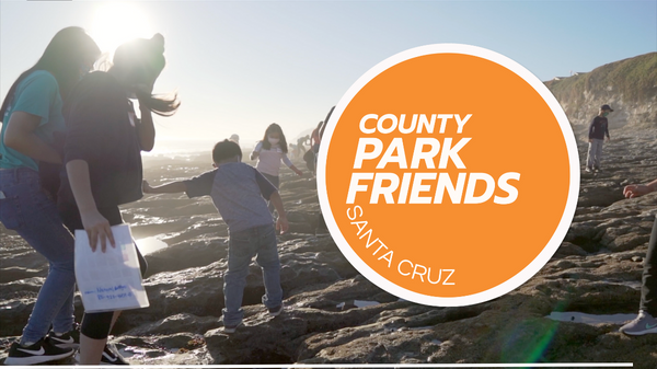 County Park Friends | Brand Story