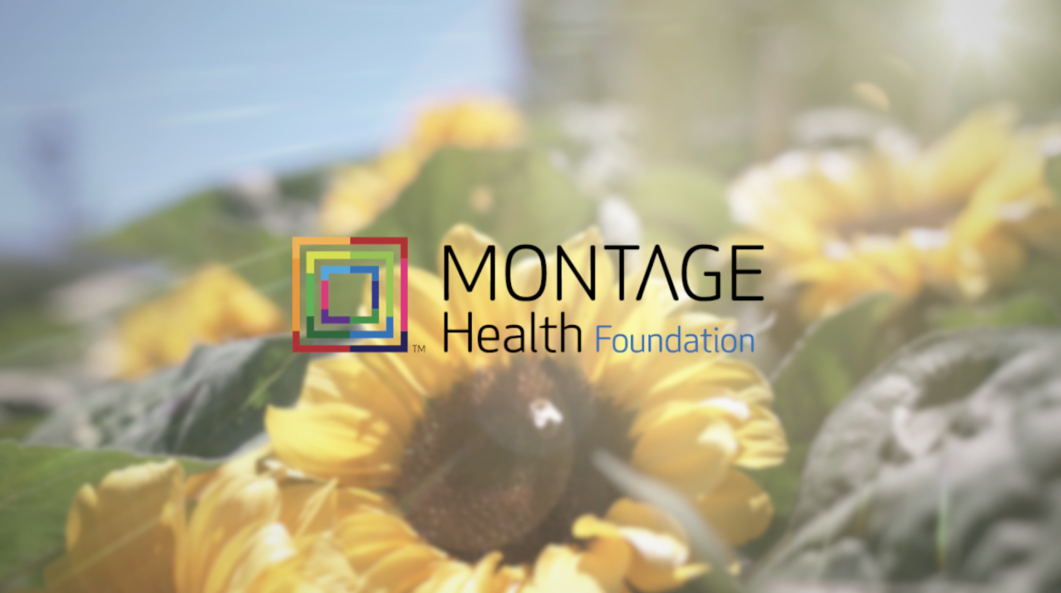 Montage Health Art Program